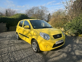 Used Kia Picanto 2010 for sale - 77945930: Photo