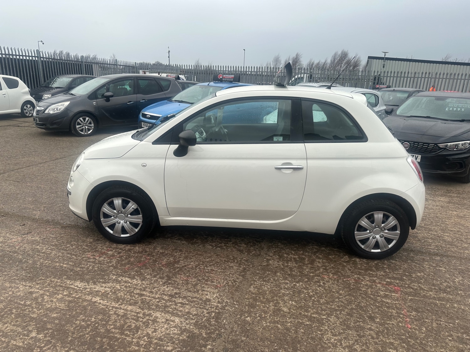 Used Fiat 500 2010 for sale - 77845227: Photo 5