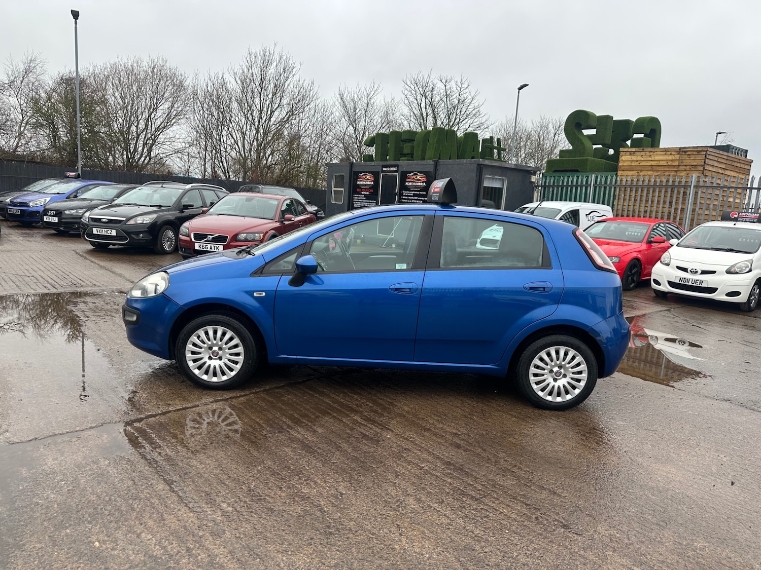Used Fiat Punto Evo 2011 for sale - 77775955: Photo 5