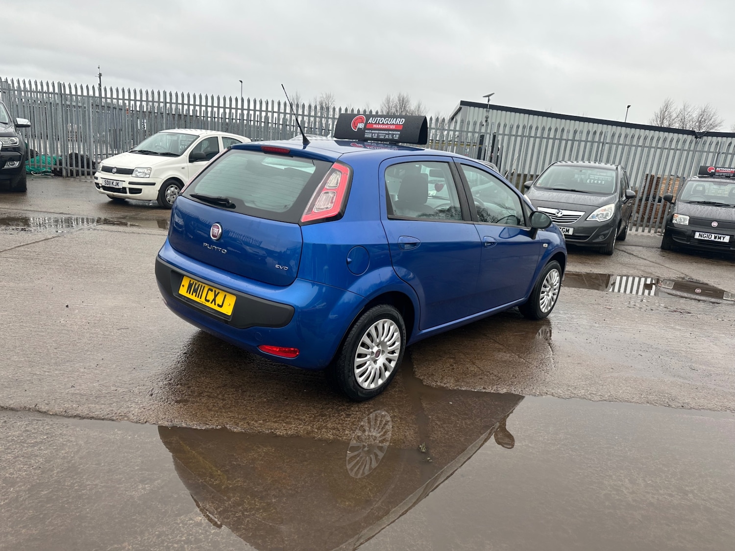 Used Fiat Punto Evo 2011 for sale - 77775955: Photo 6