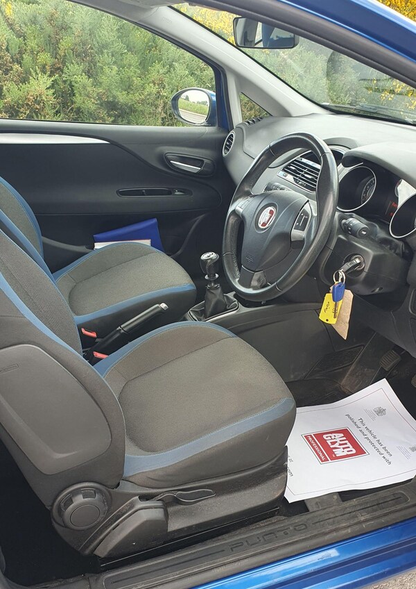 Used Fiat Punto 2012 for sale - 71227241: Photo 6