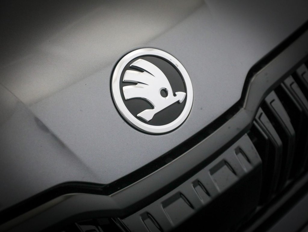 Used Skoda Kodiaq 2023 for sale - 76999126: Photo 14