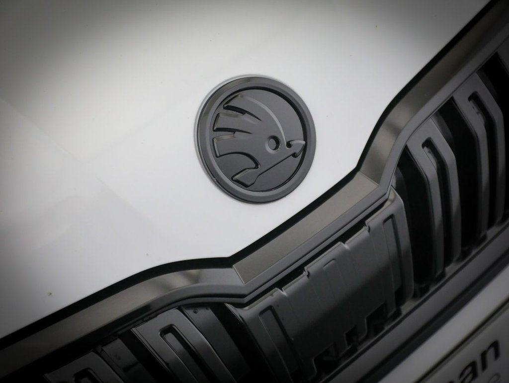 Used Skoda Kamiq 2022 for sale - 76389907: Photo 13