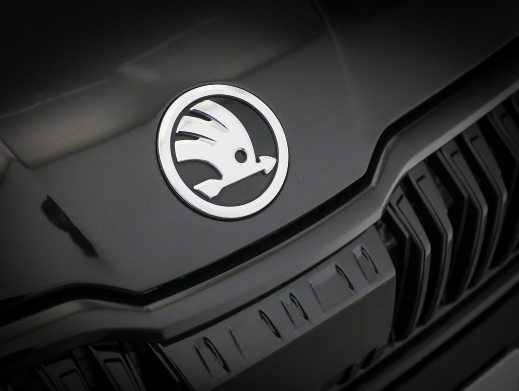 Used Skoda Kodiaq 2024 for sale - 77075500: Photo 13