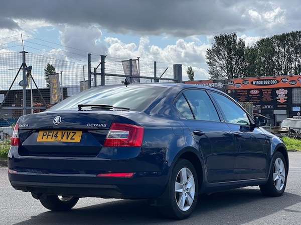 Used Skoda Octavia 2014 for sale - 68744259: Photo 6