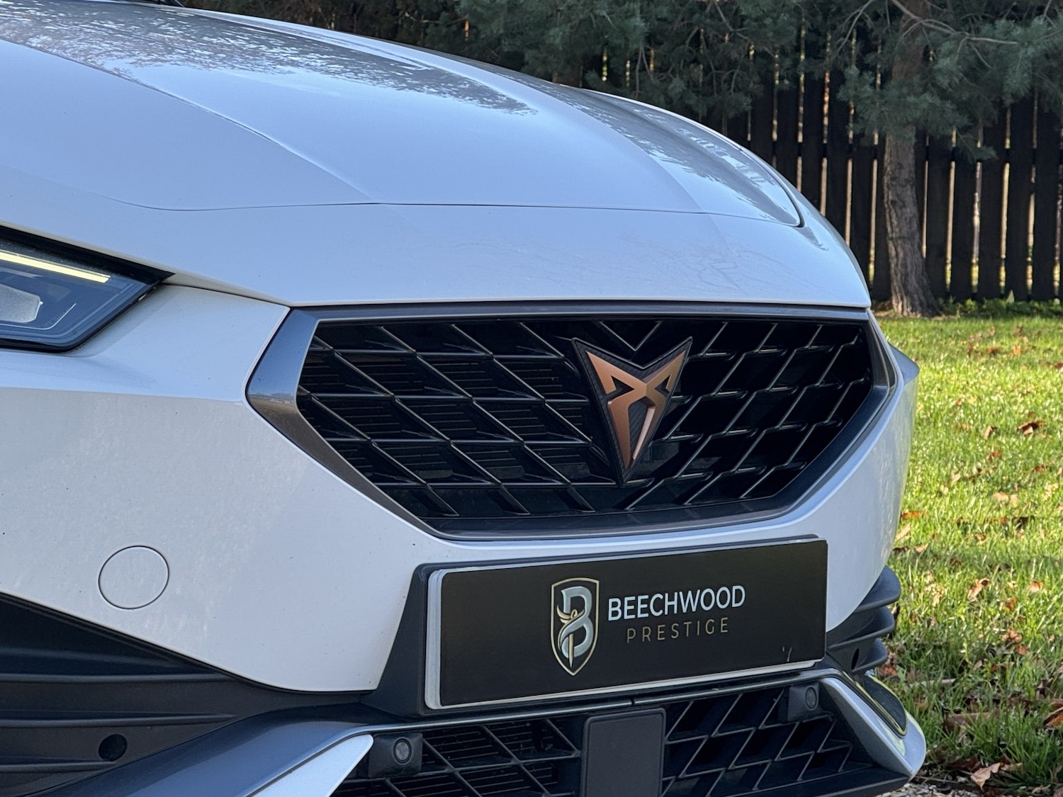 Used Cupra Leon 2022 for sale - 76784927: Photo 11