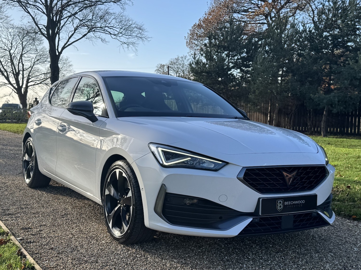 Used Cupra Leon 2022 for sale - 76784927: Photo 16