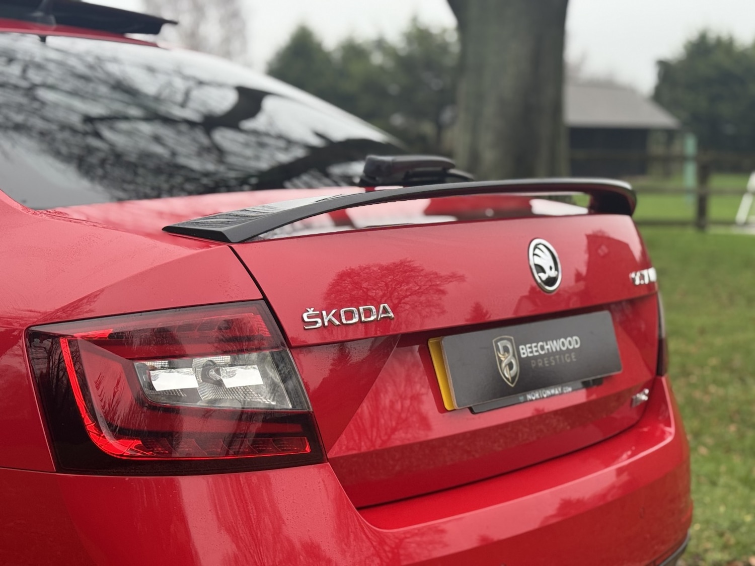 Used Skoda Octavia 2019 for sale - 76951081: Photo 12