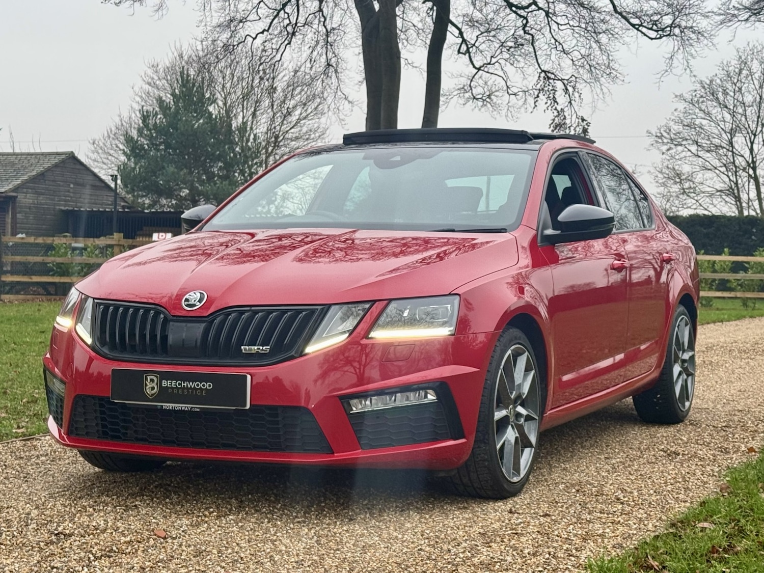 Used Skoda Octavia 2019 for sale - 76951081: Photo 39