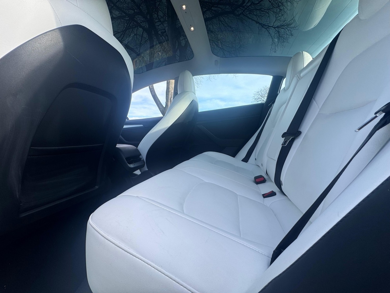 Used Tesla Model 3 2021 for sale - 77656282: Photo 8