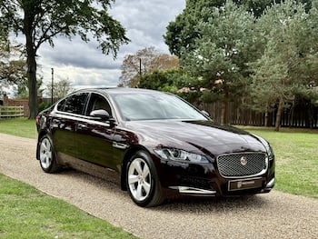 Used Jaguar XF 2019 for sale - 79755795: Photo