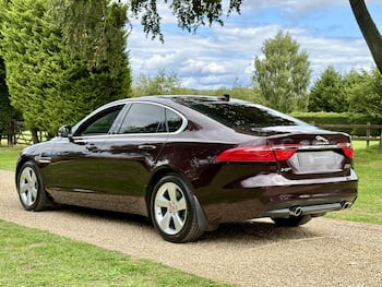 Used Jaguar XF 2019 for sale - 79755795: Photo