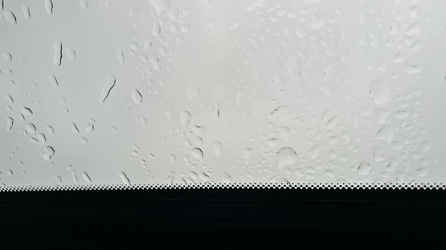 Used Nissan X-Trail 2019 for sale - 77297062: Photo 38