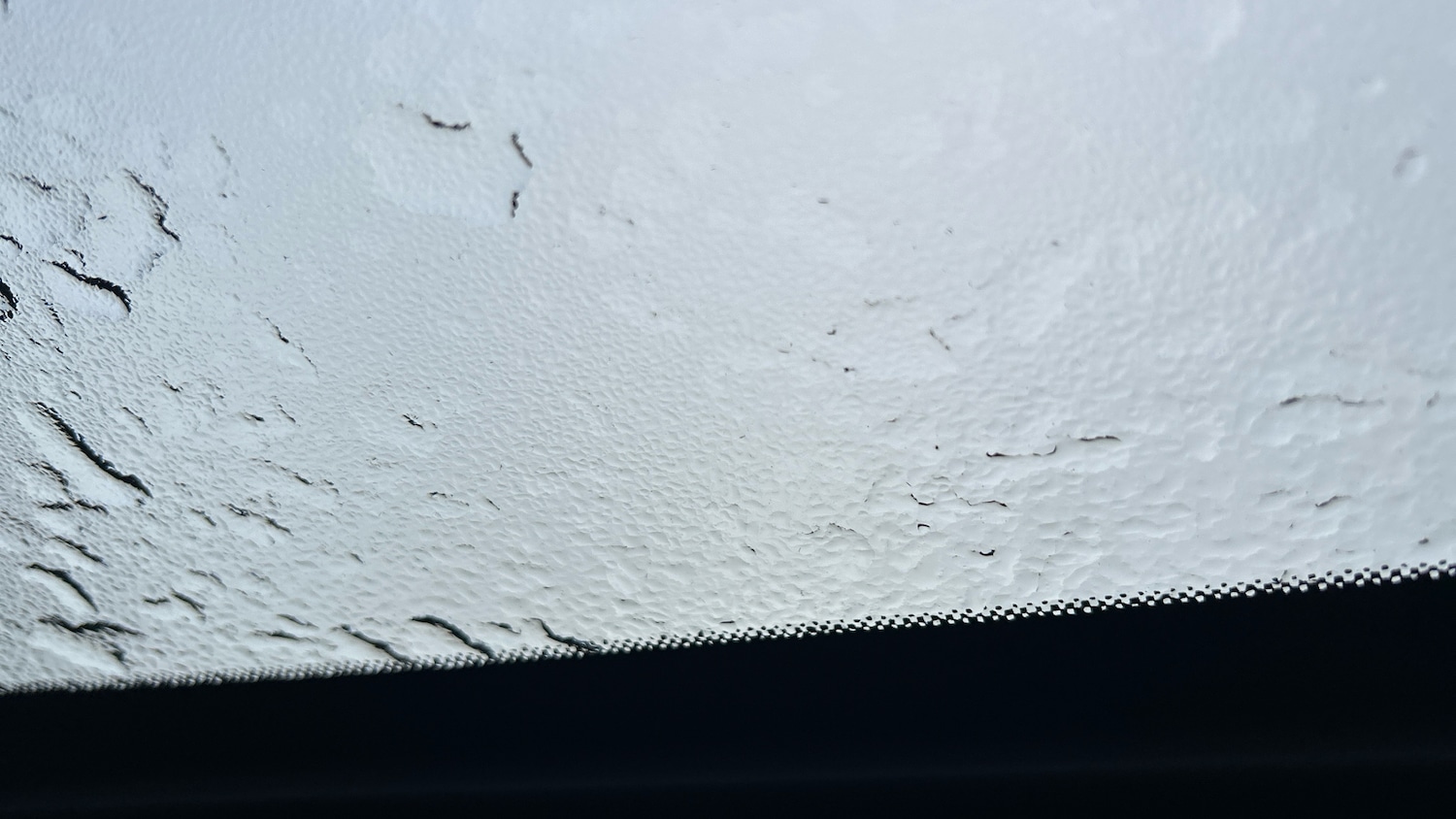 Used Nissan Qashqai 2024 for sale - 77012237: Photo 23