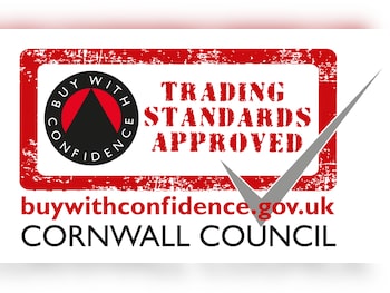 Used Vauxhall Vivaro 2019 for sale - 77535676: Photo