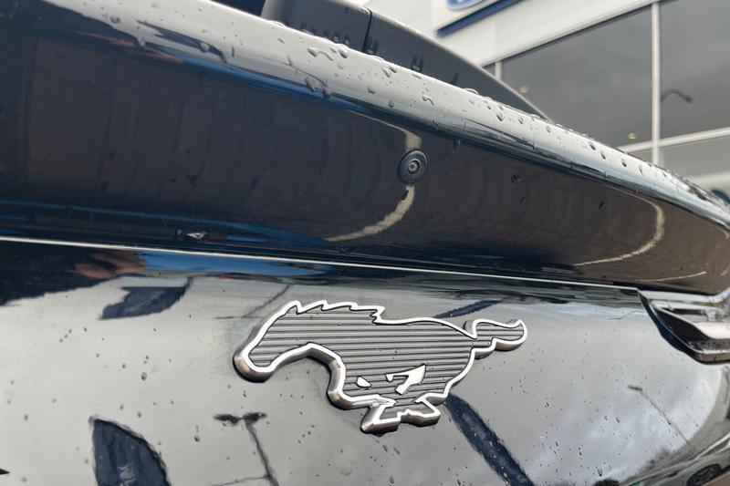 Used Ford Mustang Mach-E 2024 for sale - 76738892: Photo 25