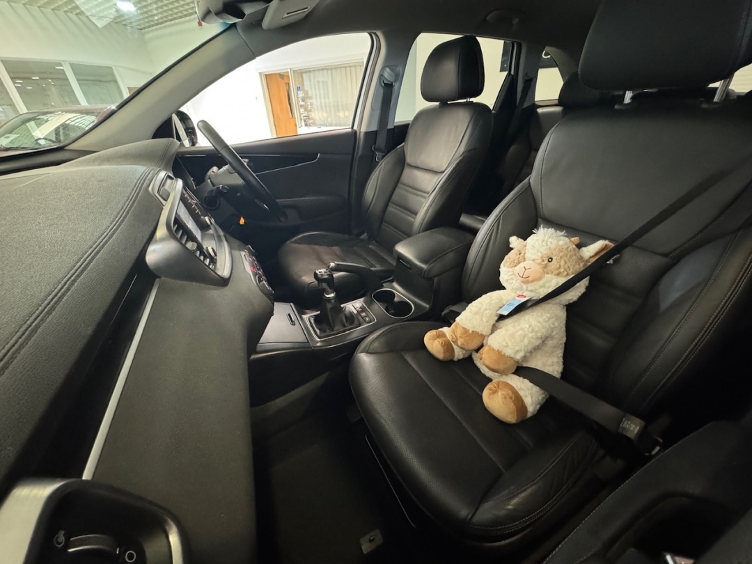 Used Kia Sorento 2017 for sale - 78105771: Photo 33