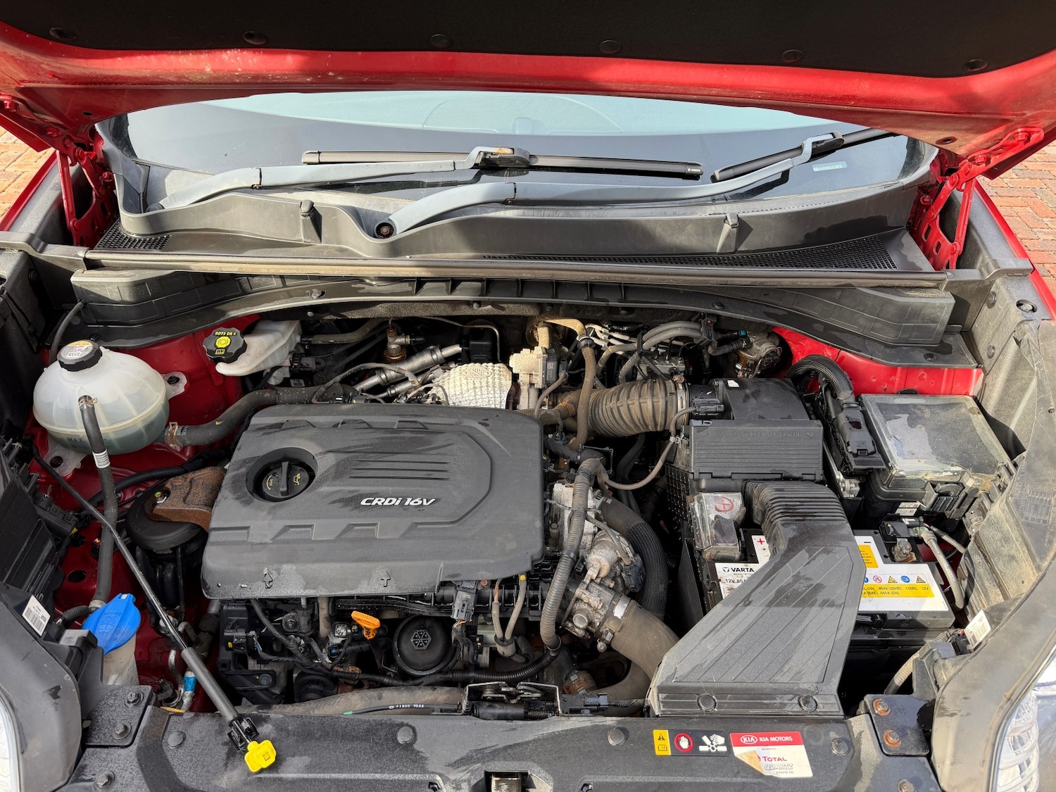 Used Kia Sportage 2017 for sale - 77595357: Photo 22