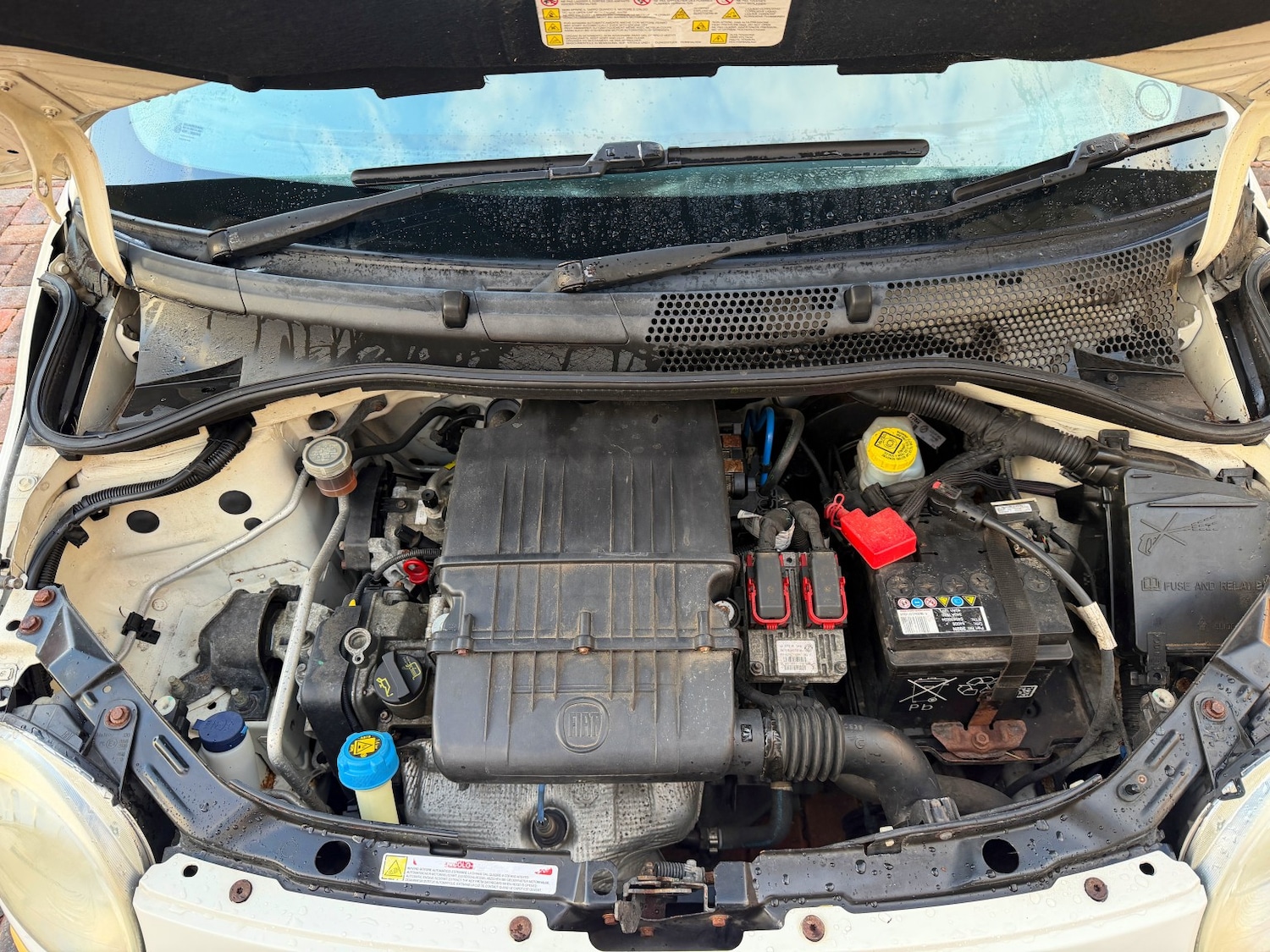 Used Fiat 500 2011 for sale - 76643340: Photo 21