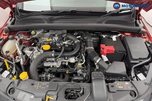 Used Renault Clio 2024 for sale - 76303422: Photo 34