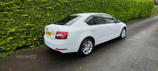 Used Skoda Octavia 2017 for sale - 76840141: Photo 4