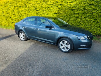 Used Skoda Octavia 2019 for sale - 78549423: Photo