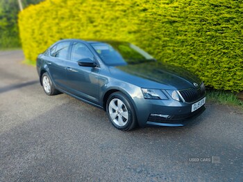 Used Skoda Octavia 2019 for sale - 78549423: Photo