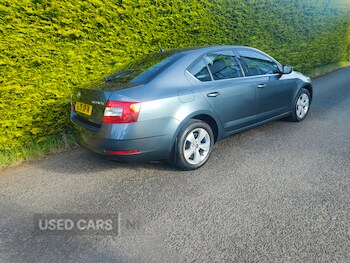 Used Skoda Octavia 2019 for sale - 78549423: Photo