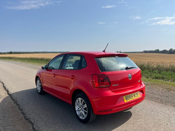 Used Volkswagen Polo 2015 for sale - 75558891: Photo 6
