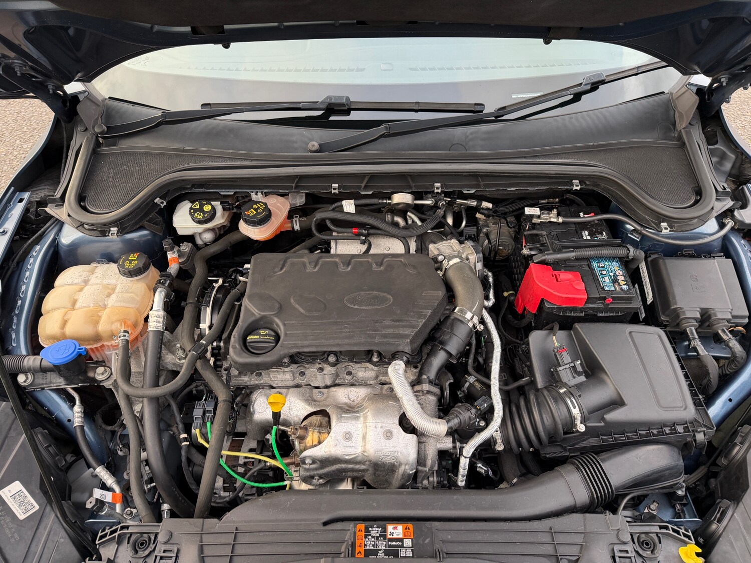 Used Ford Focus 2021 for sale - 75731500: Photo 34