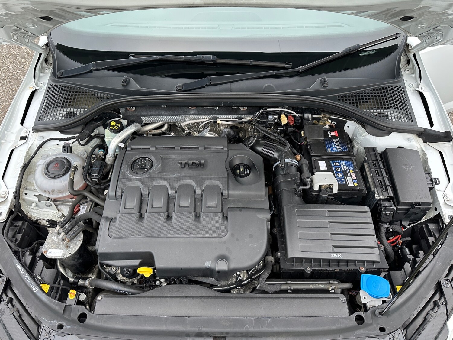 Used Skoda Octavia 2019 for sale - 75938423: Photo 33