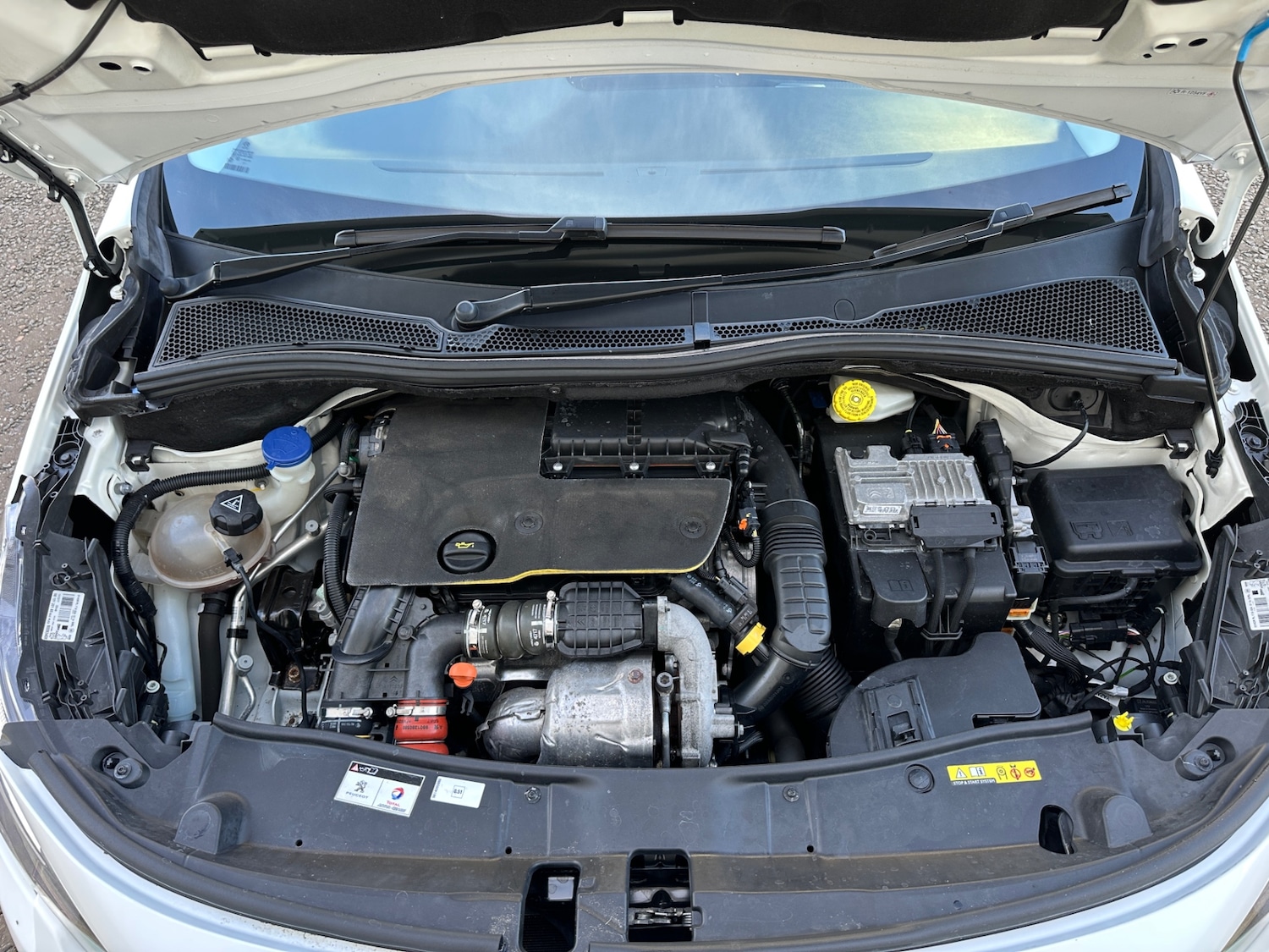 Used Peugeot 2008 2018 for sale - 75745672: Photo 18