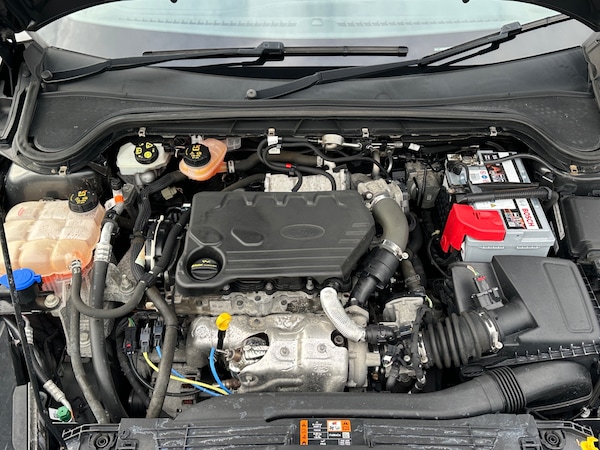 Used Ford Focus 2019 for sale - 75641347: Photo 19