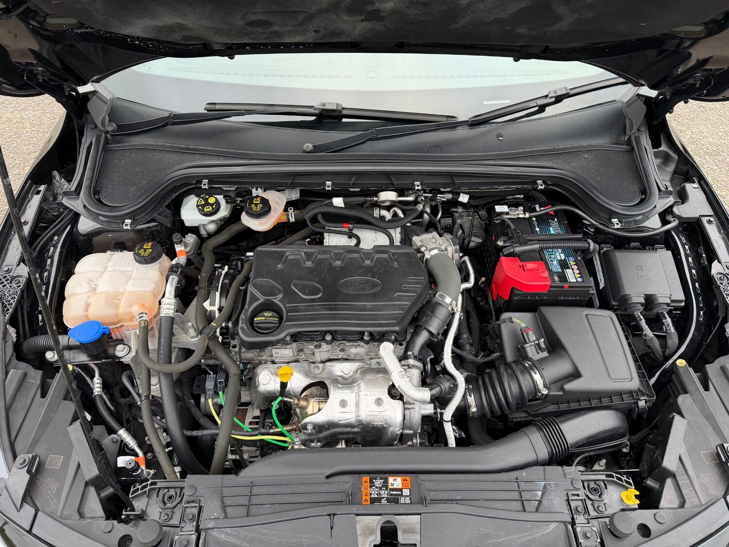 Used Ford Focus 2022 for sale - 77053497: Photo 29