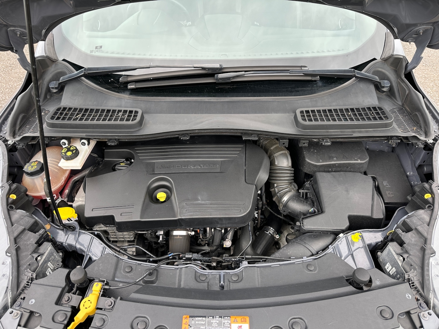 Used Ford Kuga 2019 for sale - 76019697: Photo 19