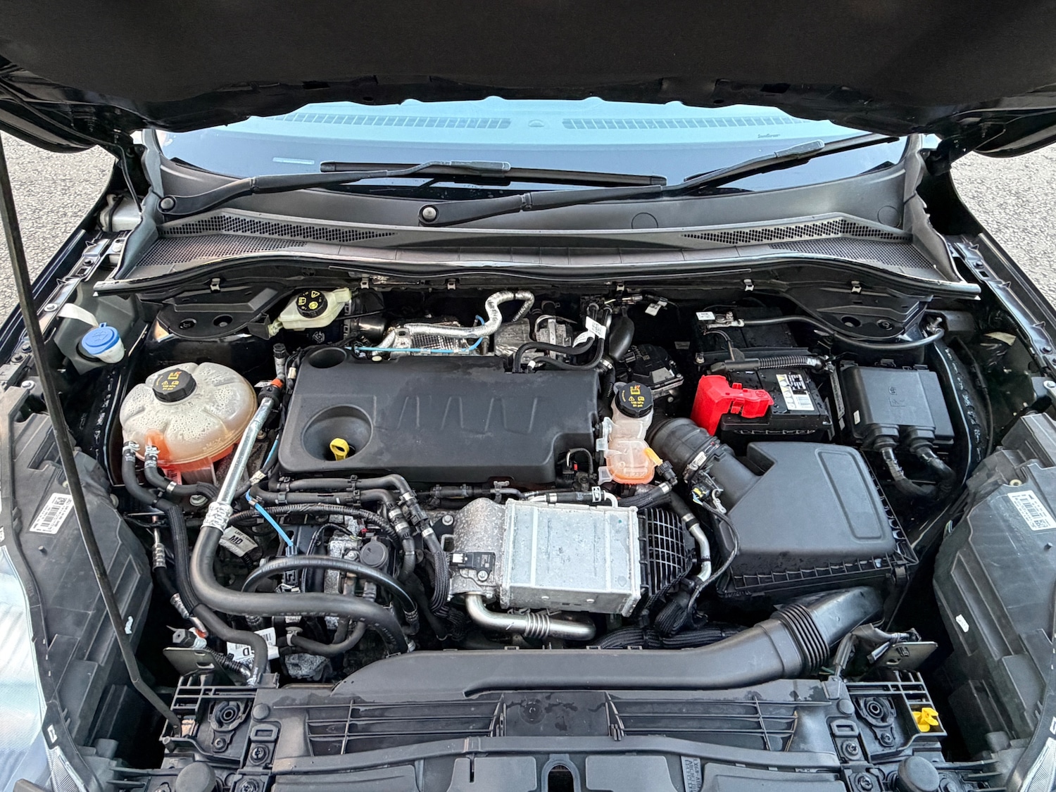 Used Ford Kuga 2022 for sale - 78217966: Photo 34