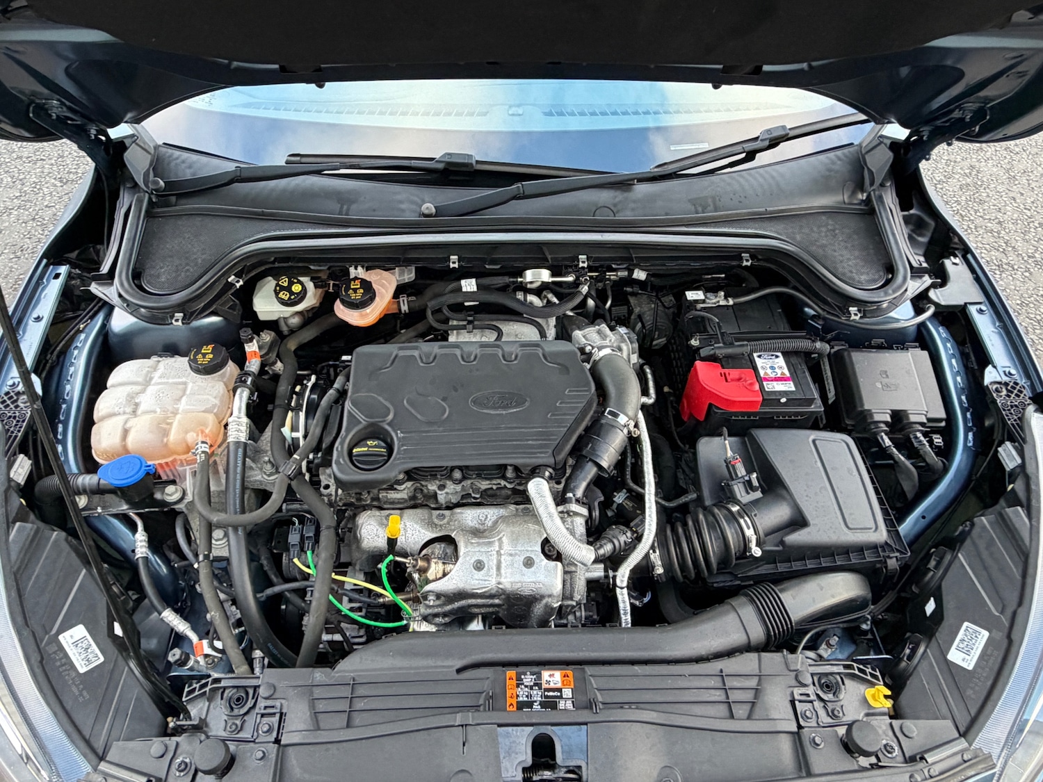 Used Ford Focus 2020 for sale - 77977197: Photo 34