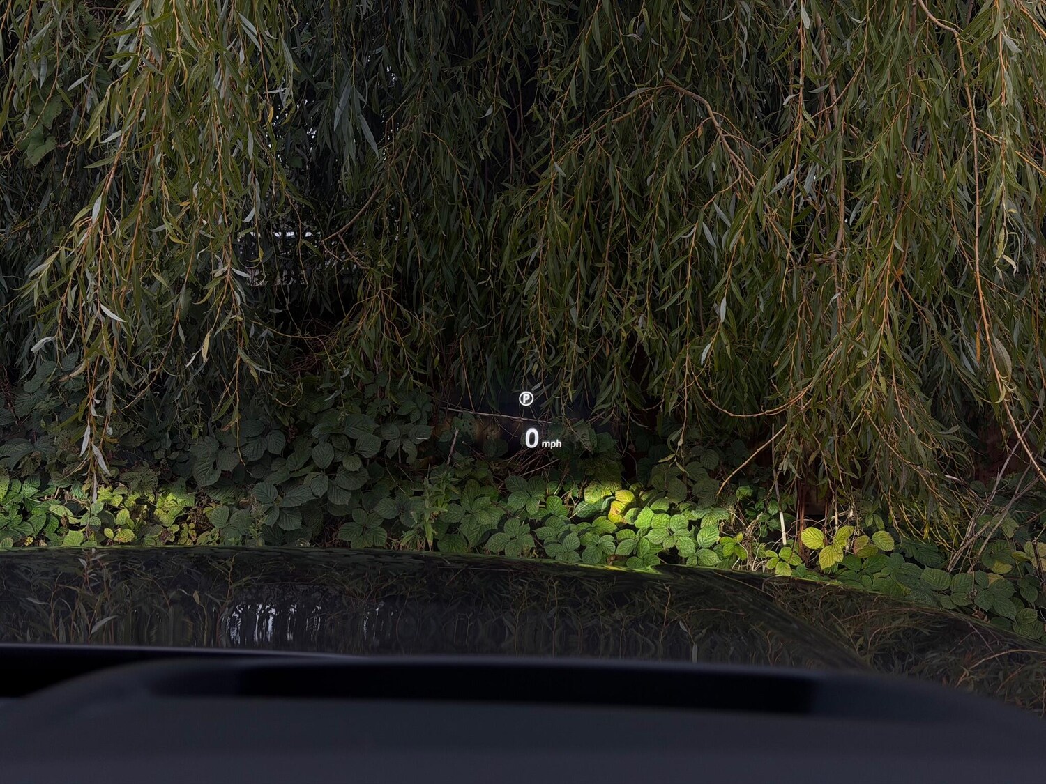 Used Land Rover Range Rover for sale - 75350862: Photo 55