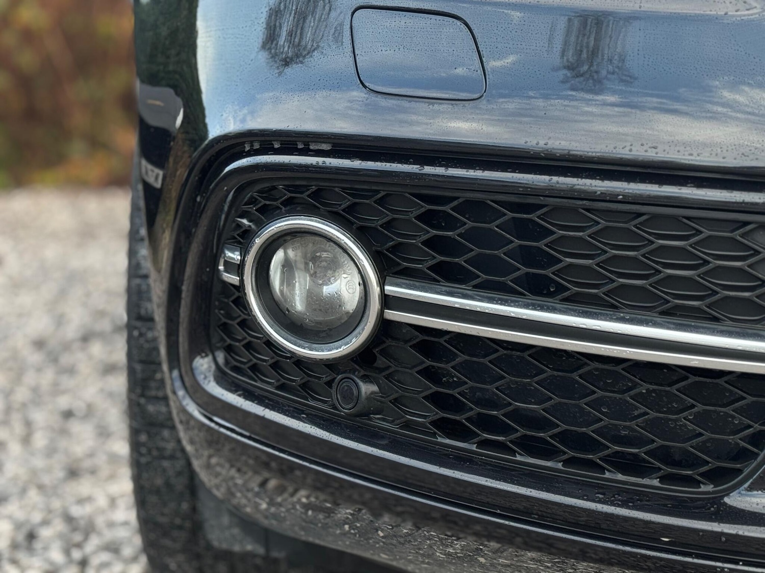 Used Audi SQ5 2014 for sale - 76886485: Photo 77