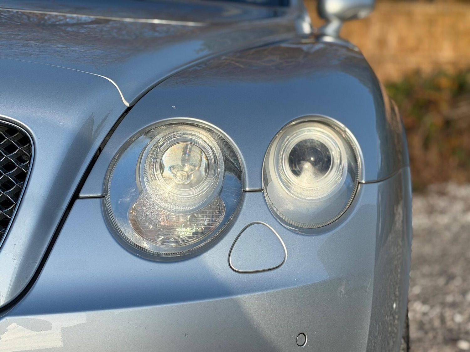 Used Bentley Continental for sale - 77021169: Photo 72