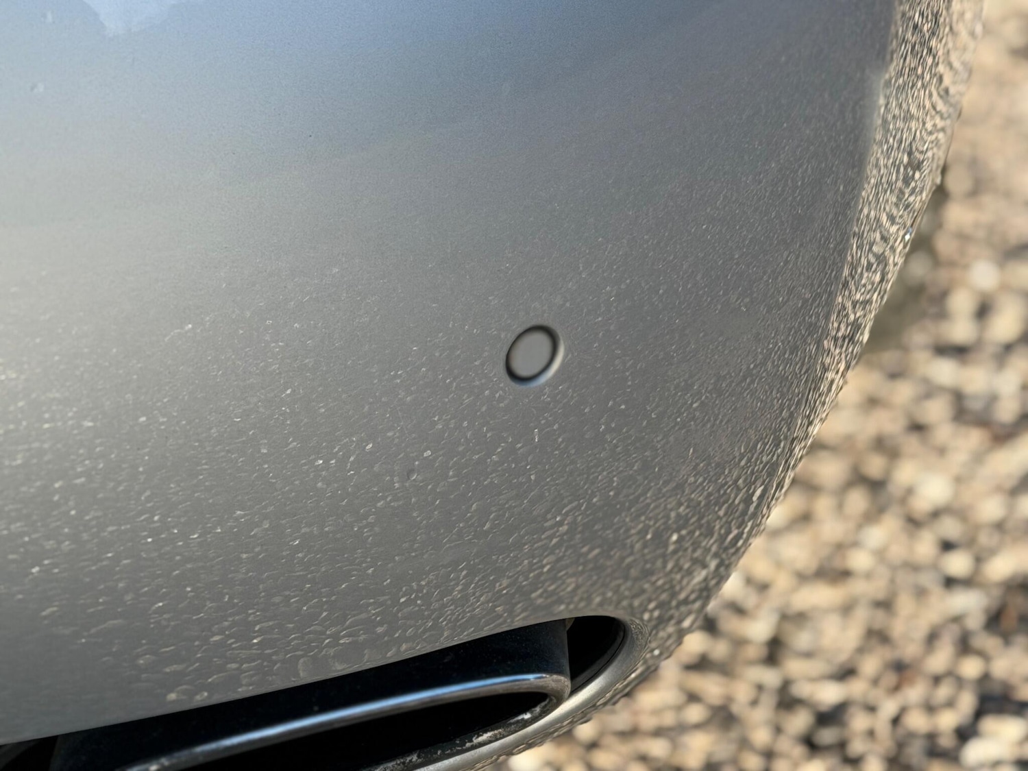 Used Bentley Continental for sale - 77021169: Photo 77