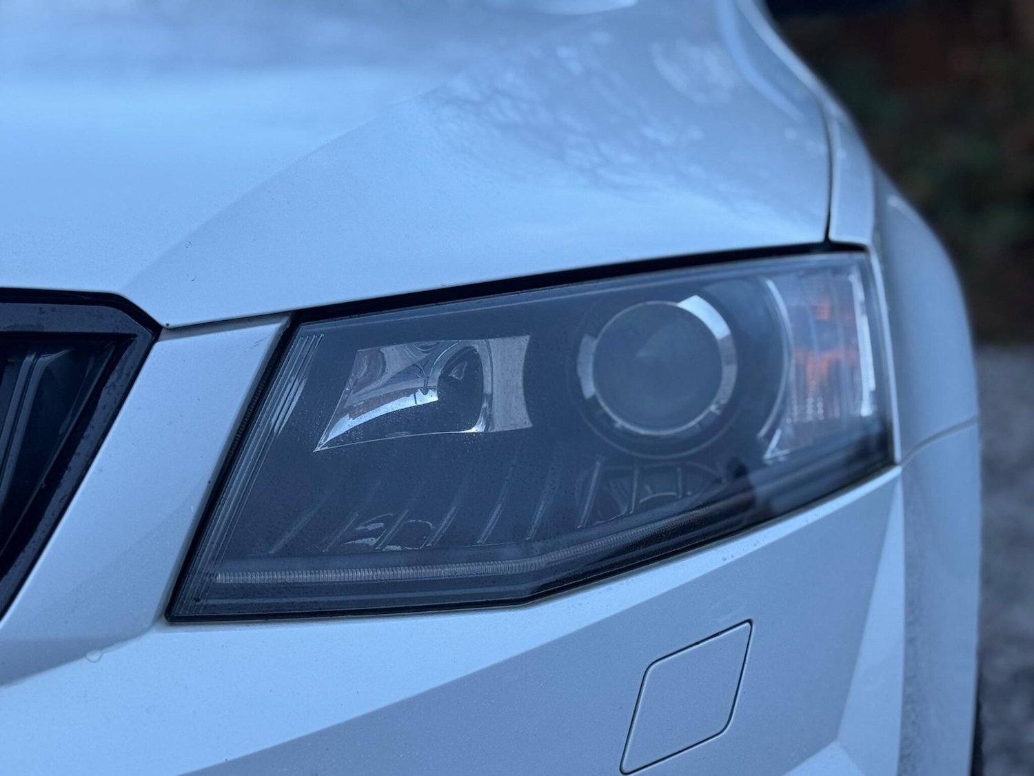 Used Skoda Octavia 2016 for sale - 76727098: Photo 71