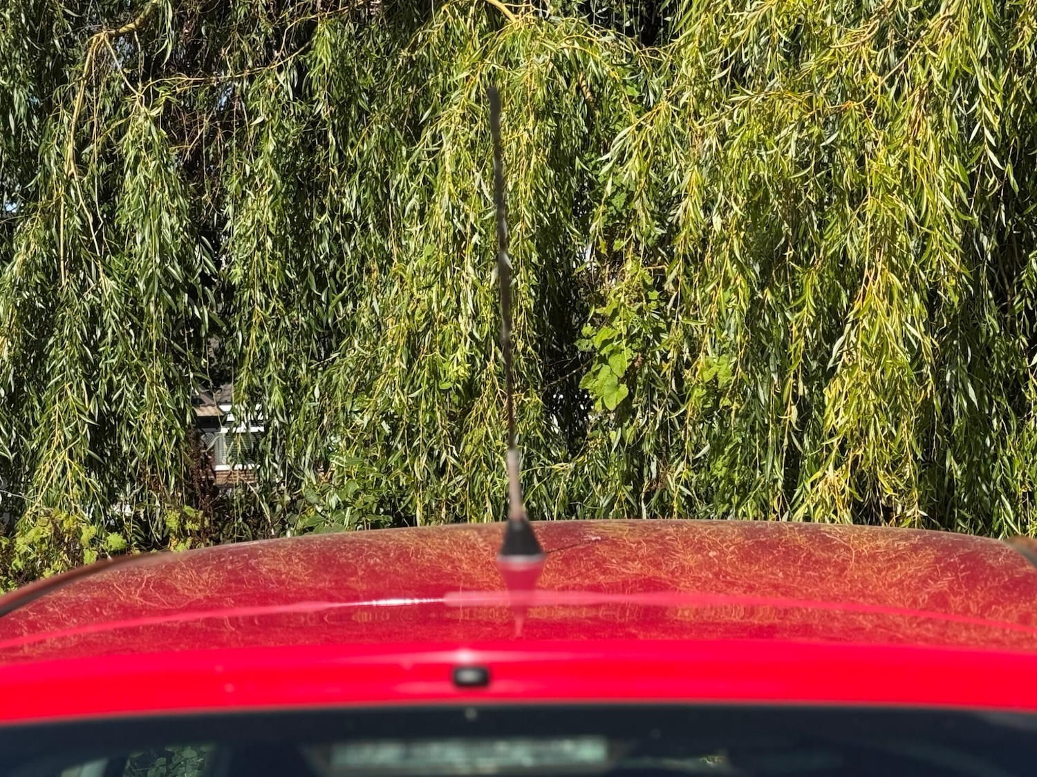 Used Toyota Yaris 2006 for sale - 76990992: Photo 55