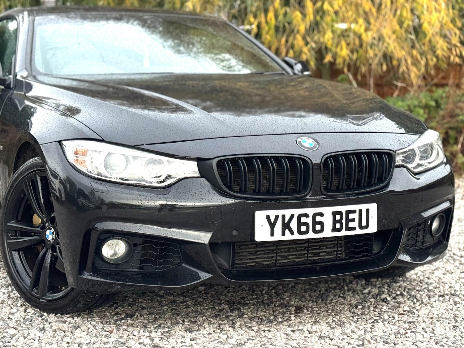 Used BMW 4 Series for sale - 76998964: Photo 67