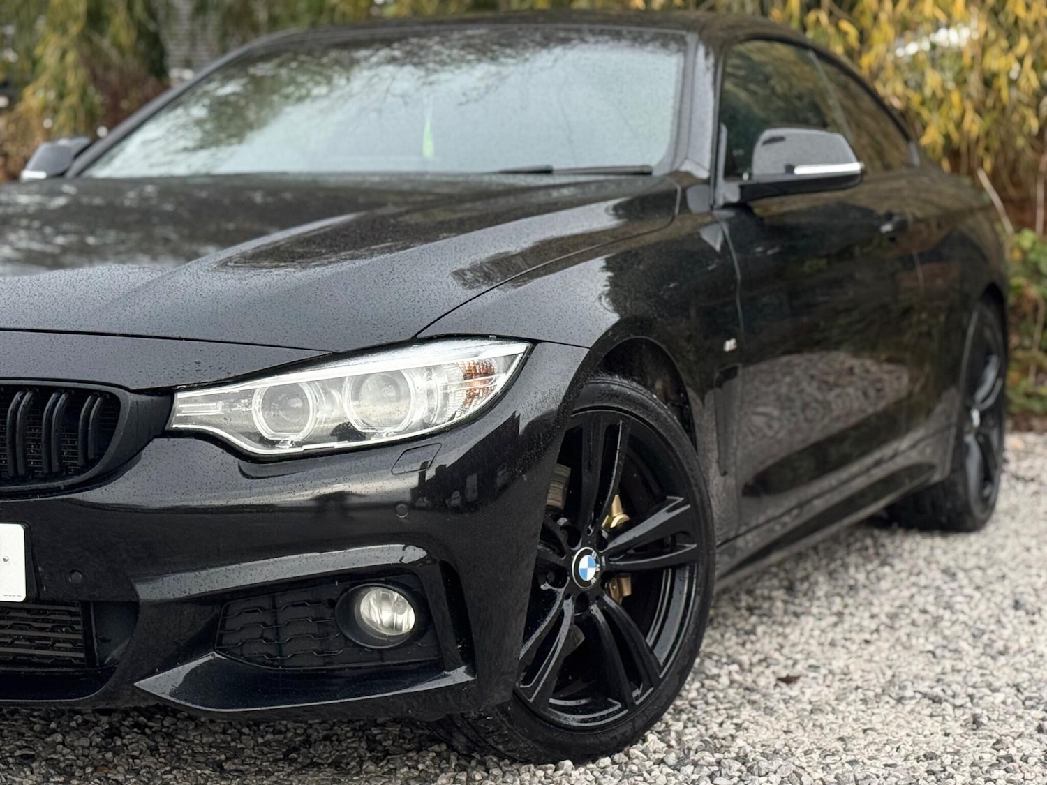 Used BMW 4 Series for sale - 76998964: Photo 69