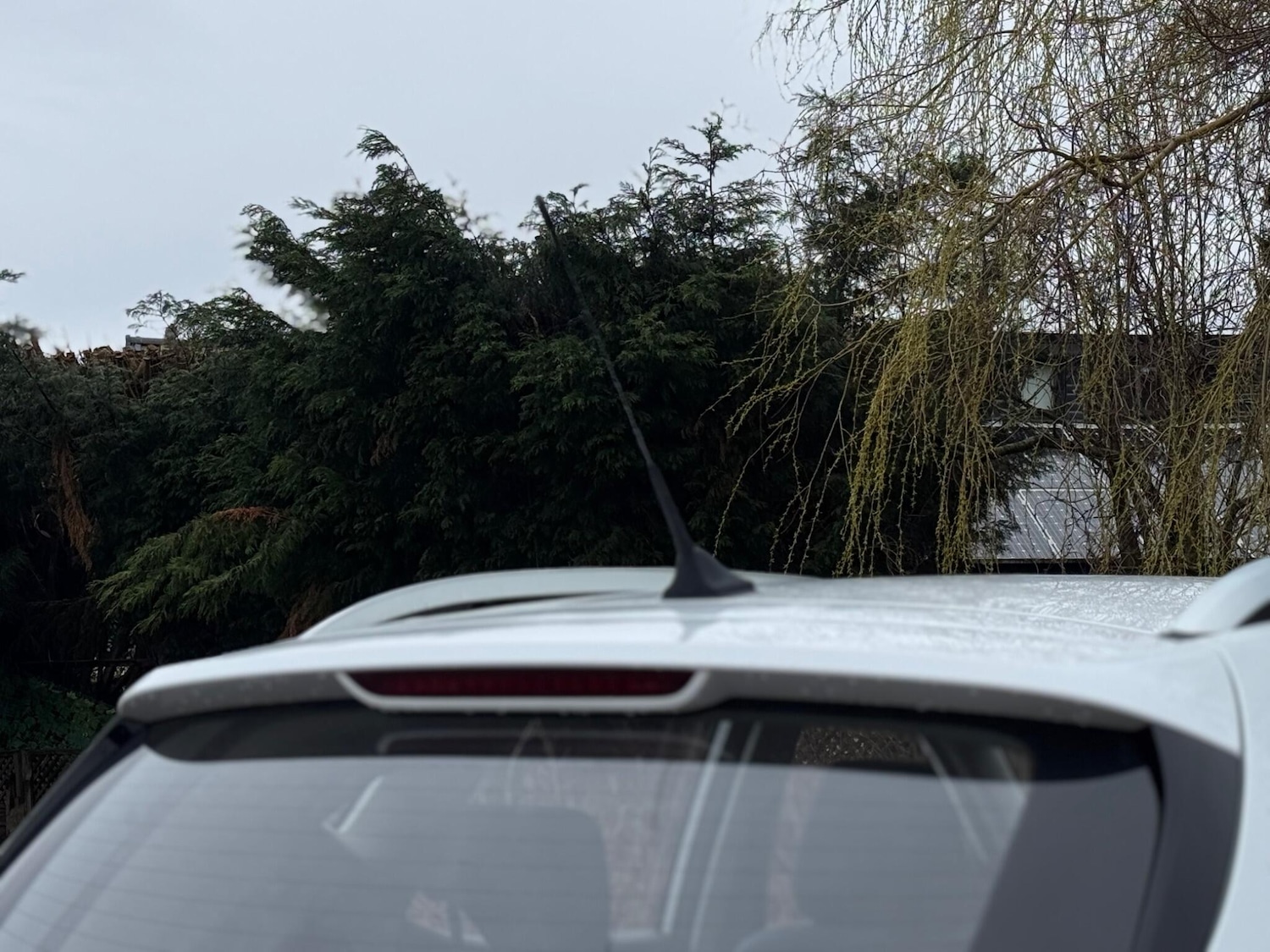 Used MG MG ZS 2020 for sale - 77612835: Photo 77