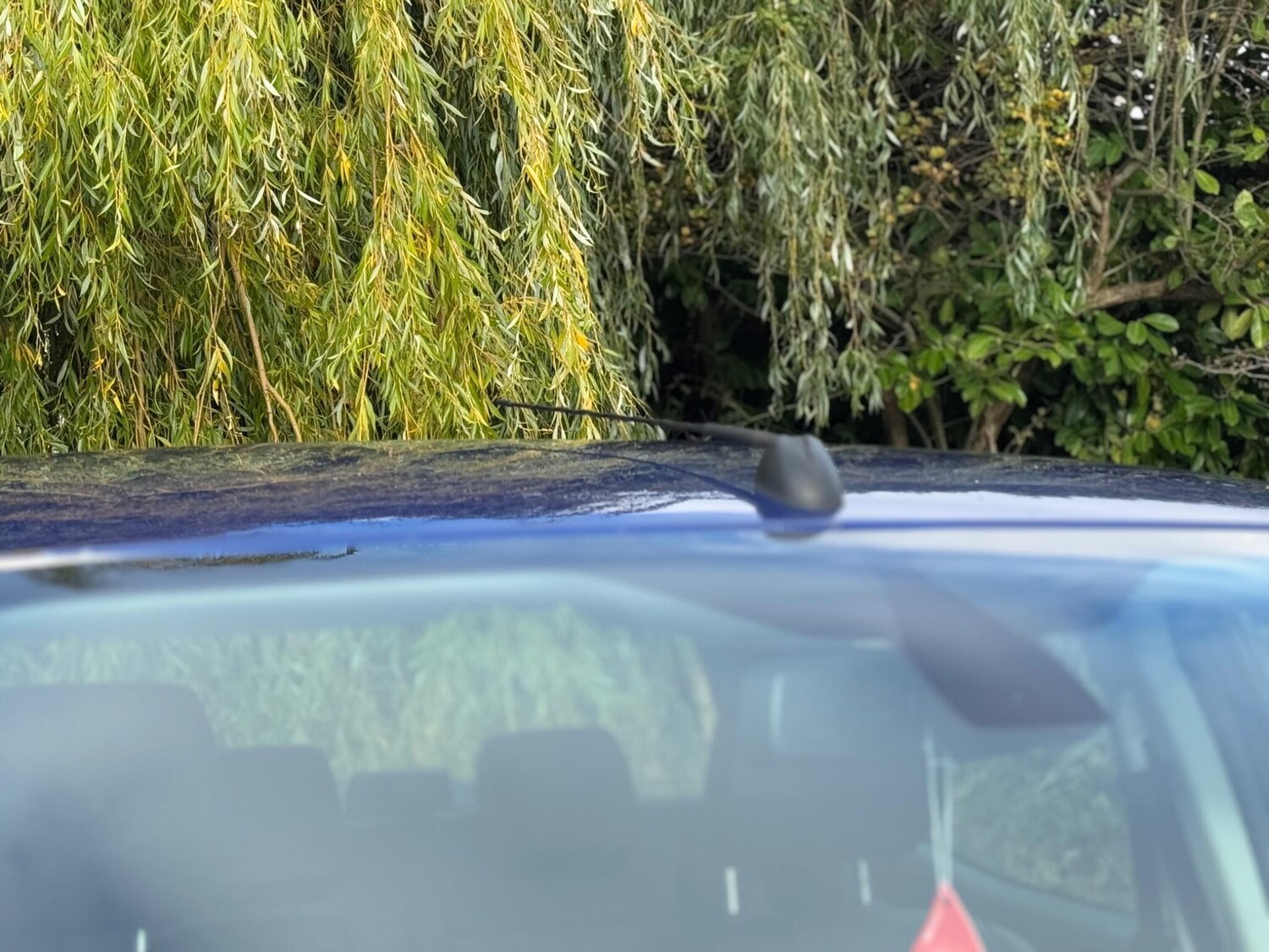 Used Ford Ranger 2016 for sale - 75953932: Photo 60