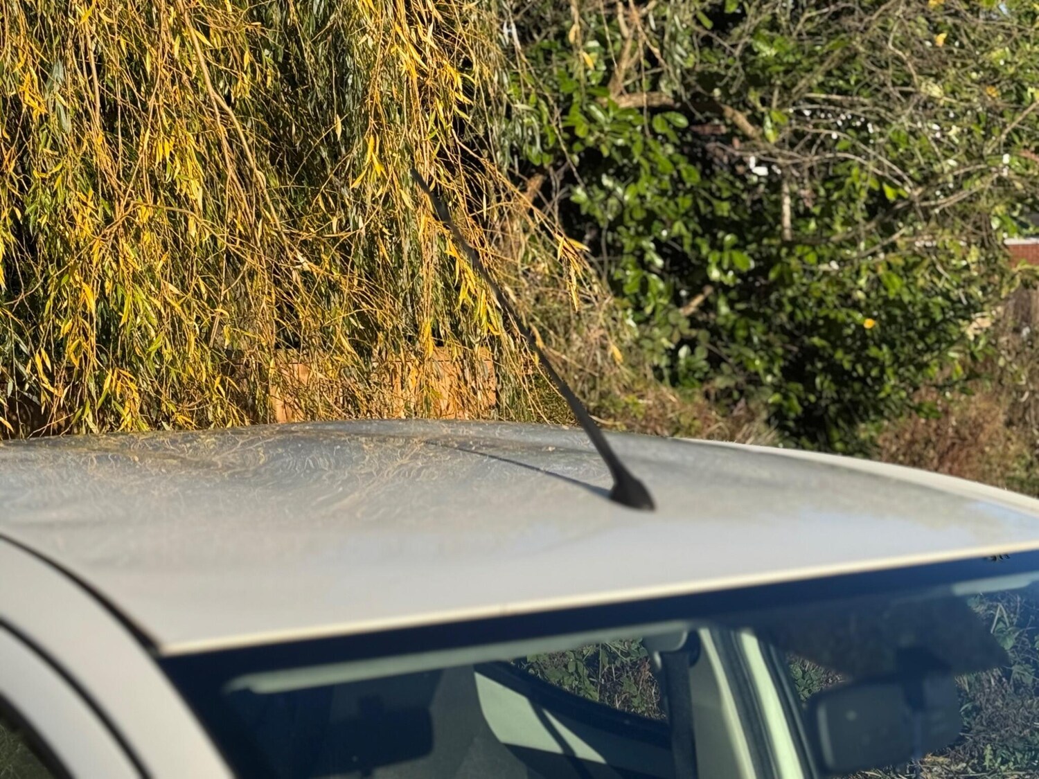 Used Toyota AYGO 2014 for sale - 76613225: Photo 67