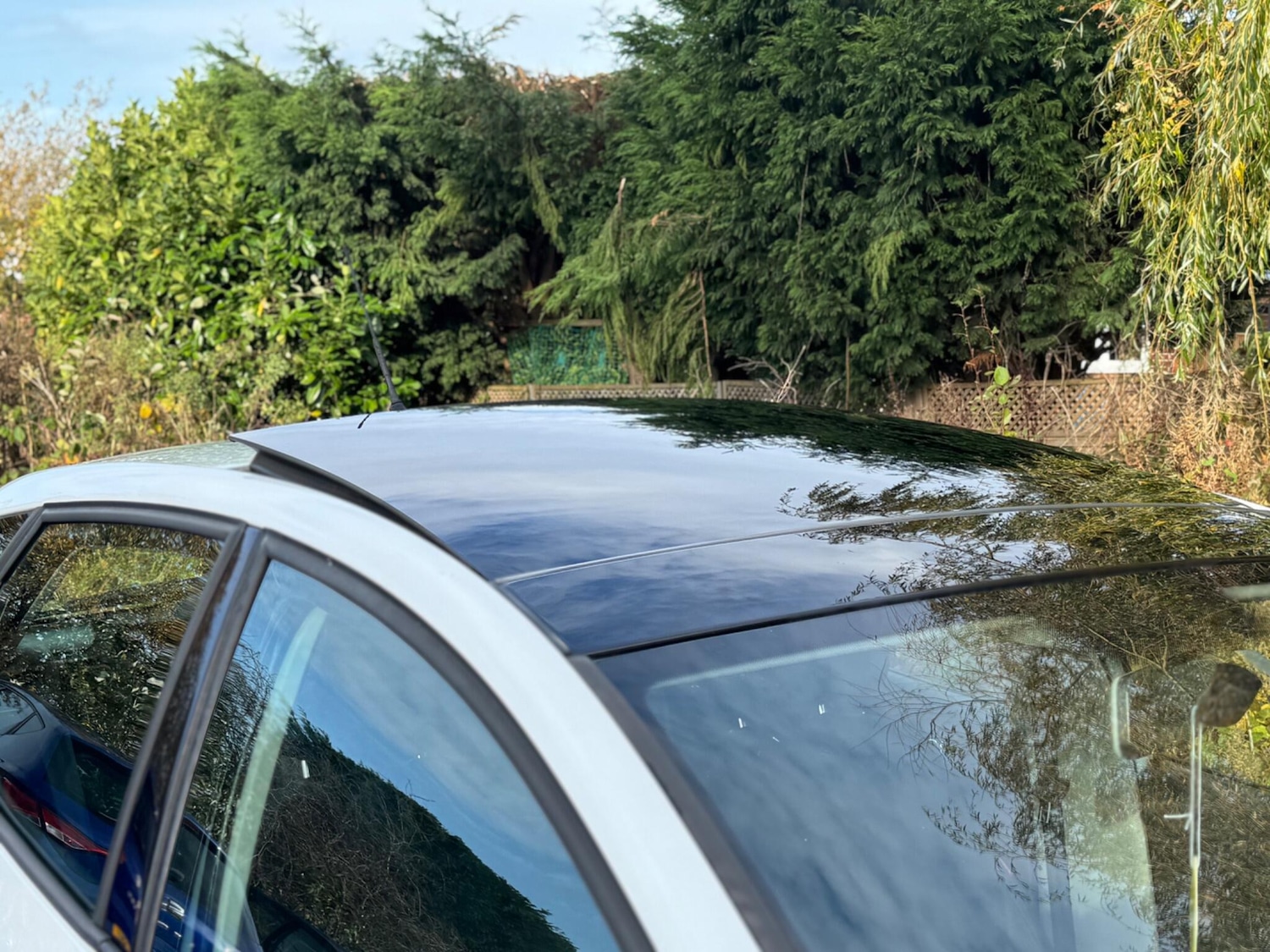 Used SEAT Ibiza for sale - 76702155: Photo 51