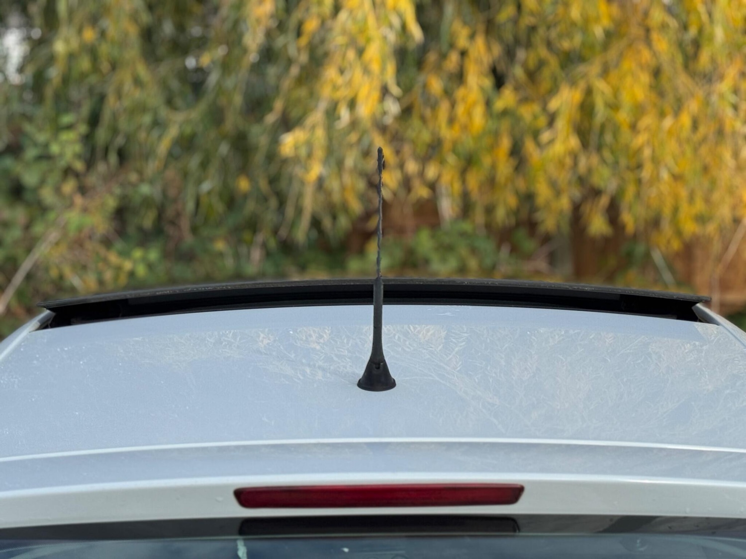 Used SEAT Ibiza for sale - 76702155: Photo 55